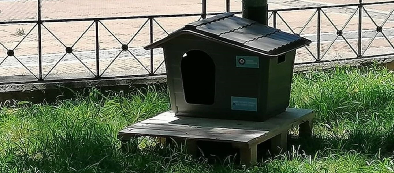 Δήμος Αθηναίων: Οι γάτες θα έχουν πλέον το σπίτι τους (φώτο)